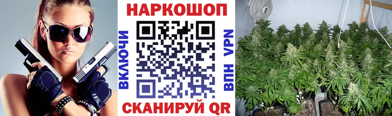 Продажа наркотиков Циолковский Конопля  Кокаин  СОЛЬ  Гашиш 