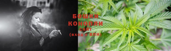 ПСИЛОЦИБИНОВЫЕ ГРИБЫ Армянск