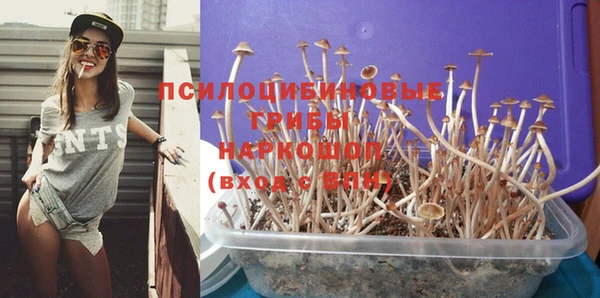 бутират Арсеньев